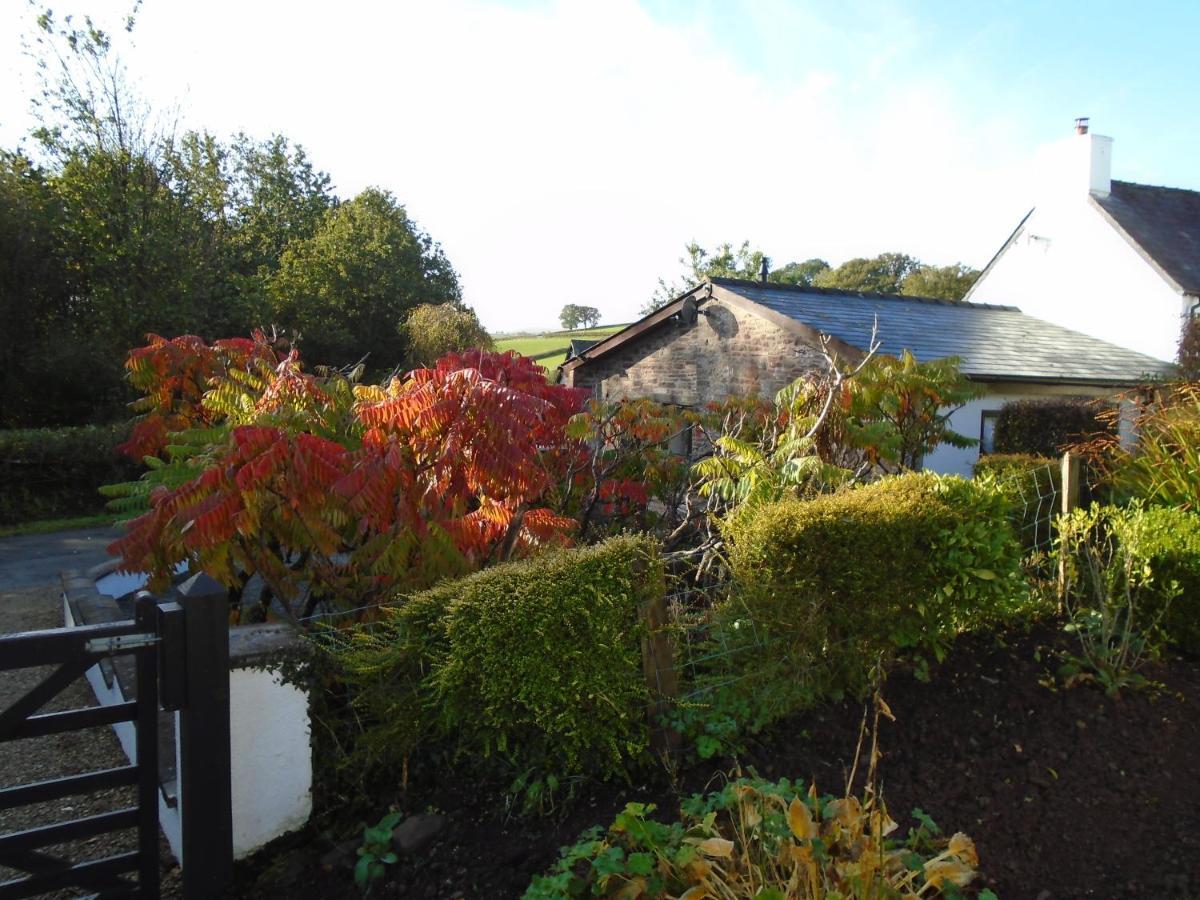 Auld Ffynnon Villa Brecon Ngoại thất bức ảnh